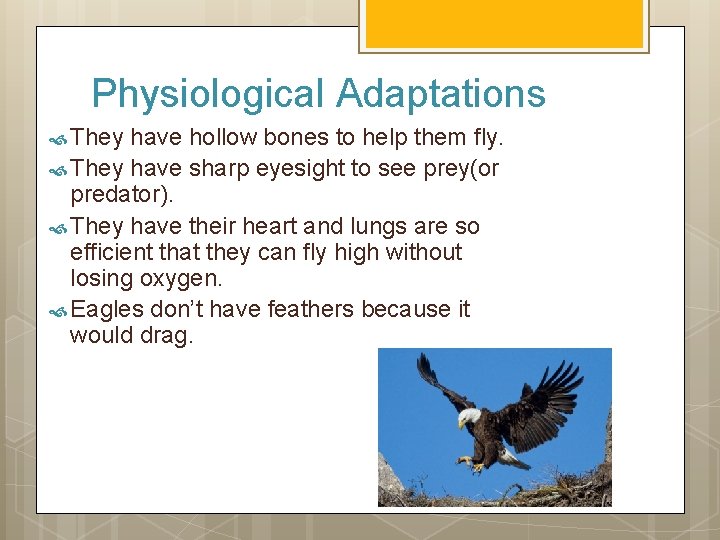 Physiological Adaptations They have hollow bones to help them fly. They have sharp eyesight