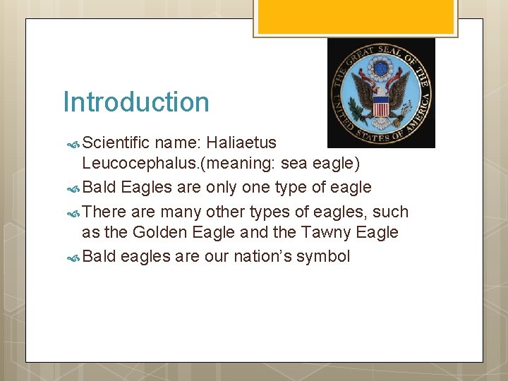 Introduction Scientific name: Haliaetus Leucocephalus. (meaning: sea eagle) Bald Eagles are only one type