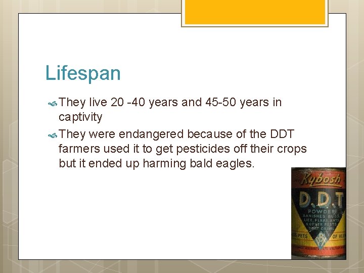 Lifespan They live 20 -40 years and 45 -50 years in captivity They were