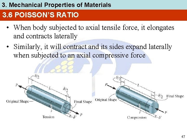 3. Mechanical Properties of Materials 3. 6 POISSON’S RATIO • When body subjected to