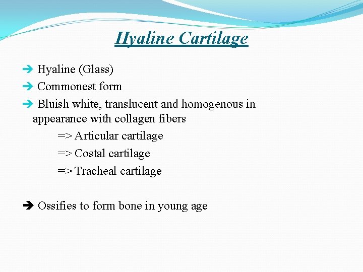 Hyaline Cartilage Hyaline (Glass) Commonest form Bluish white, translucent and homogenous in appearance with