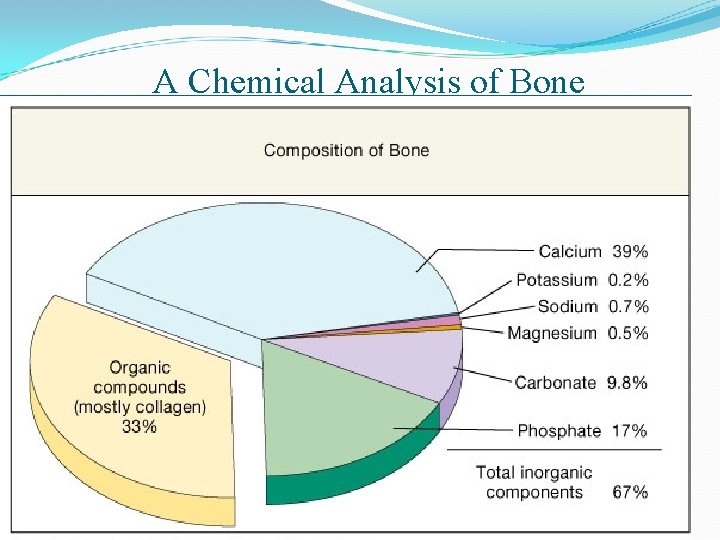 A Chemical Analysis of Bone 