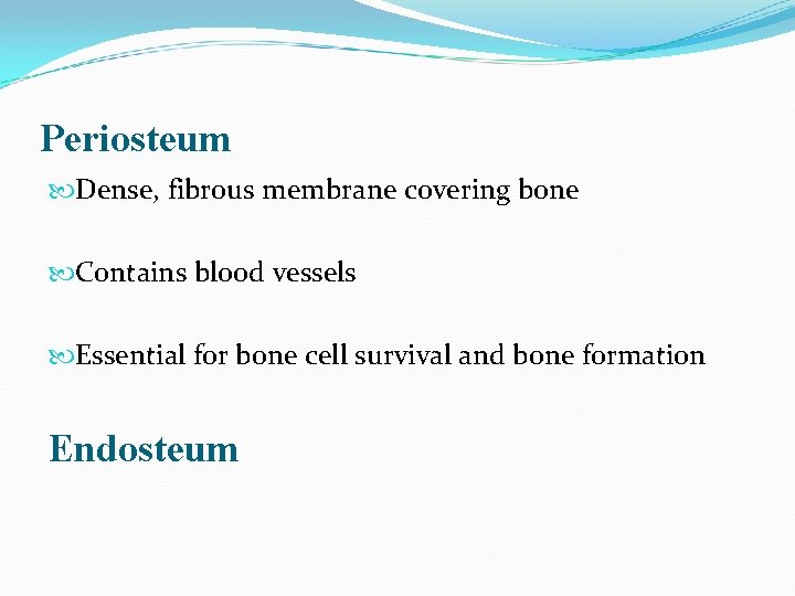 Periosteum Dense, fibrous membrane covering bone Contains blood vessels Essential for bone cell survival