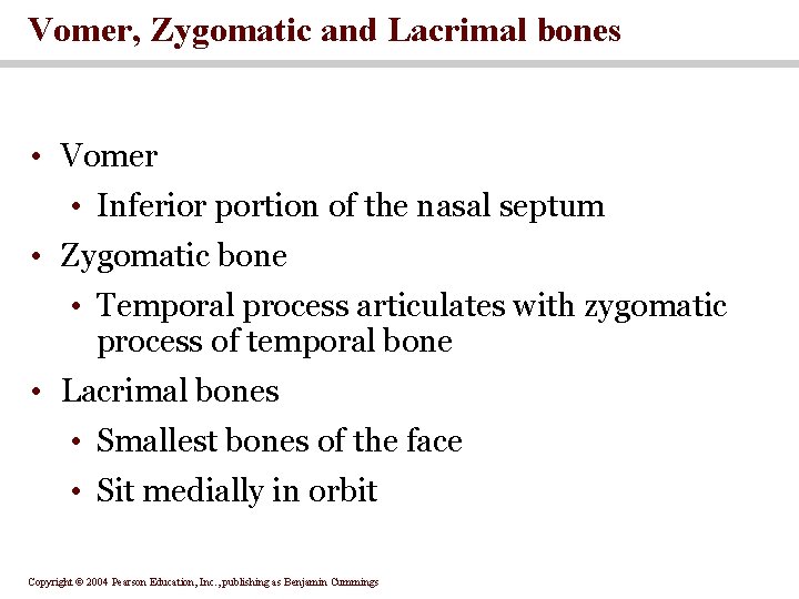 Vomer, Zygomatic and Lacrimal bones • Vomer • Inferior portion of the nasal septum