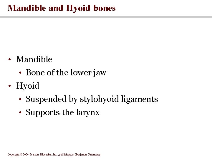 Mandible and Hyoid bones • Mandible • Bone of the lower jaw • Hyoid