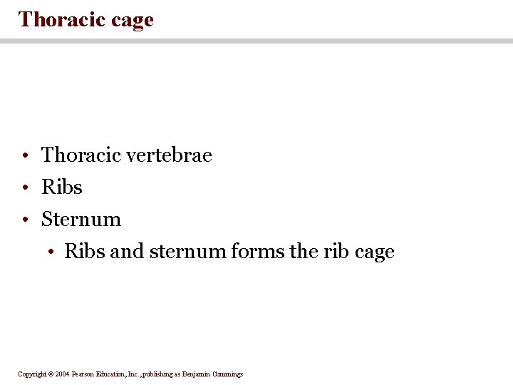 Thoracic cage • Thoracic vertebrae • Ribs • Sternum • Ribs and sternum forms