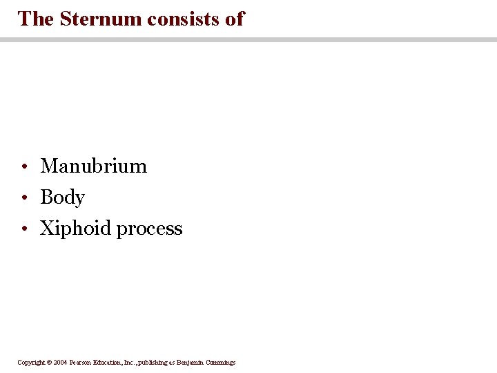 The Sternum consists of • Manubrium • Body • Xiphoid process Copyright © 2004