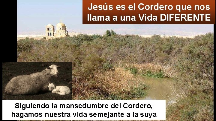 Jesús es el Cordero que nos llama a una Vida DIFERENTE Siguiendo la mansedumbre