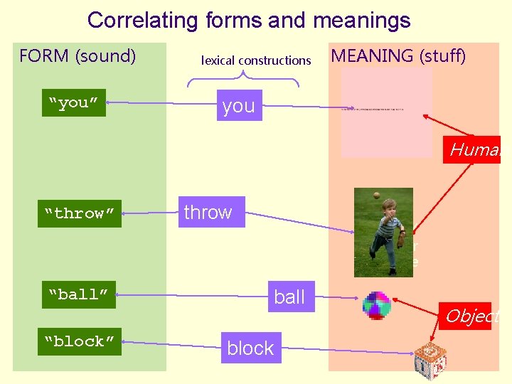 Correlating forms and meanings FORM (sound) “you” lexical constructions MEANING (stuff) you Human “throw”