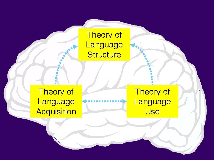 Theory of Language Structure Theory of Language Acquisition Theory of Language Use 