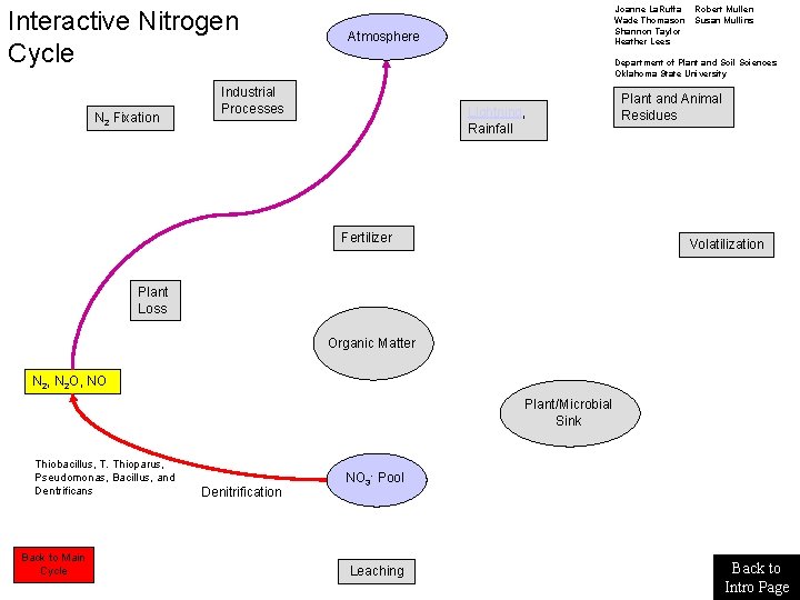 Interactive Nitrogen Cycle N 2 Fixation Joanne La. Ruffa Wade Thomason Shannon Taylor Heather