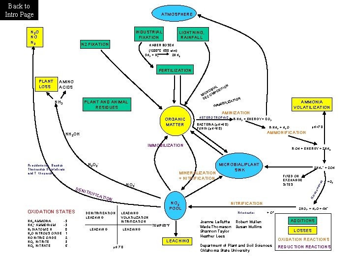 Back to Intro Page ATMOSPHERE N 2 O NO N 2 INDUSTRIAL FIXATION N