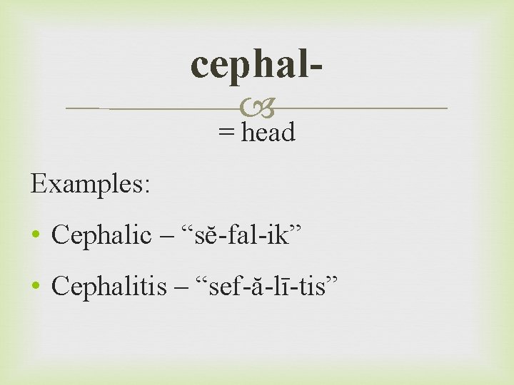 cephal = head Examples: • Cephalic – “sĕ-fal-ik” • Cephalitis – “sef-ă-lī-tis” 