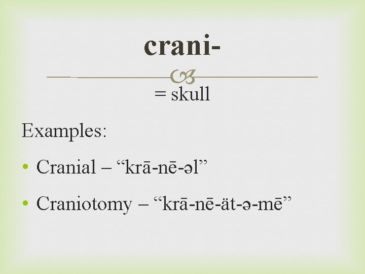 crani = skull Examples: • Cranial – “krā-nē-əl” • Craniotomy – “krā-nē-ät-ə-mē” 