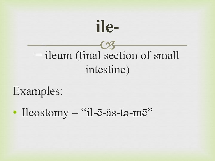 ile = ileum (final section of small intestine) Examples: • Ileostomy – “il-ē-äs-tə-mē” 