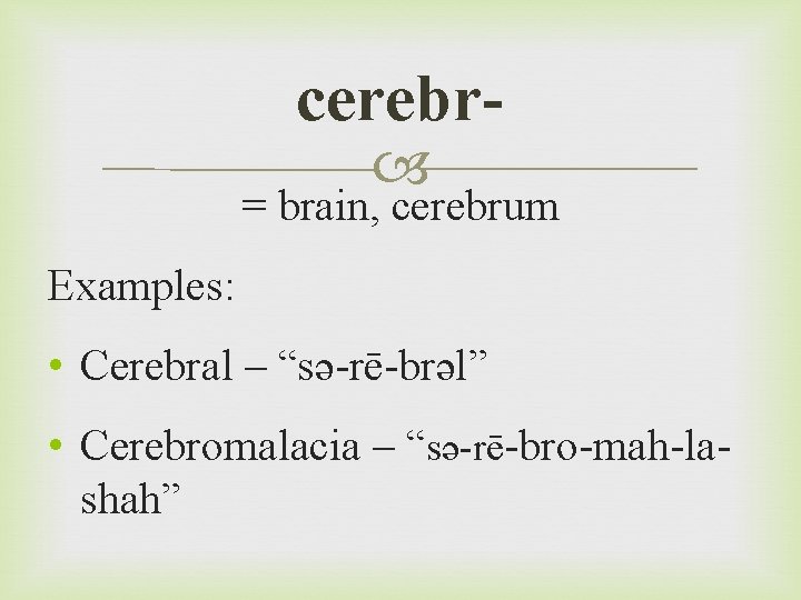 cerebr = brain, cerebrum Examples: • Cerebral – “sə-rē-brəl” • Cerebromalacia – “sə-rē-bro-mah-lashah” 