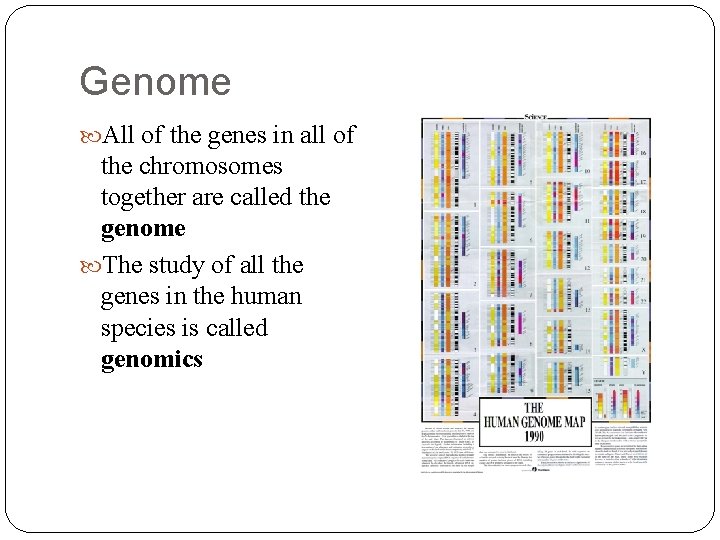 Genome All of the genes in all of the chromosomes together are called the