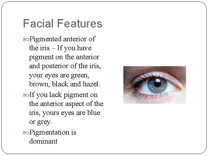 Facial Features Pigmented anterior of the iris – If you have pigment on the
