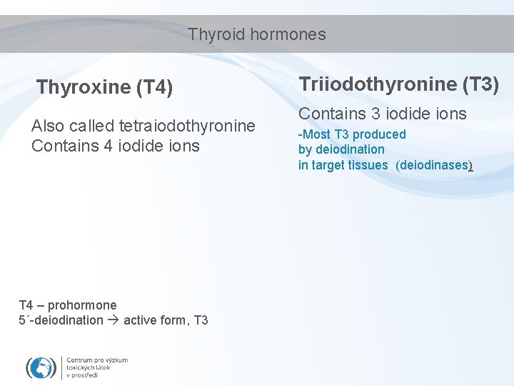 Thyroid hormones Thyroxine (T 4) Also called tetraiodothyronine Contains 4 iodide ions T 4