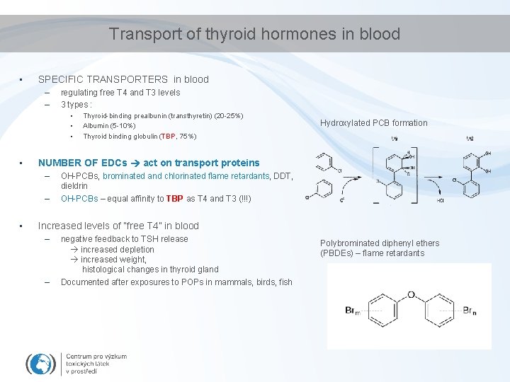 Transport of thyroid hormones in blood • SPECIFIC TRANSPORTERS in blood – – regulating