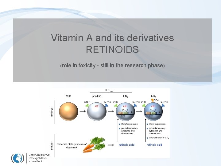 Vitamin A and its derivatives RETINOIDS (role in toxicity - still in the research
