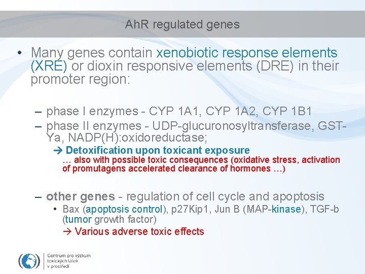 Ah. R regulated genes • Many genes contain xenobiotic response elements (XRE) or dioxin