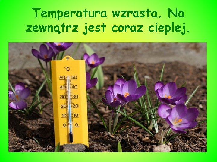 Temperatura wzrasta. Na zewnątrz jest coraz cieplej. 