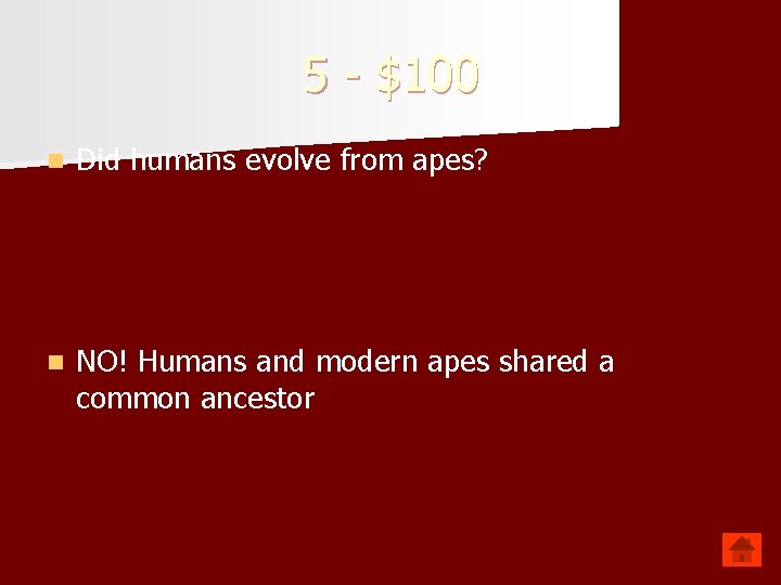 5 $100 n Did humans evolve from apes? n NO! Humans and modern apes