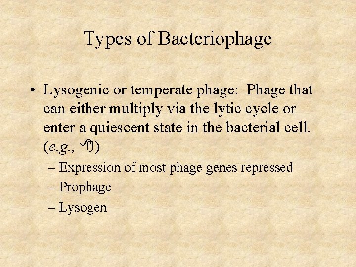 Types of Bacteriophage • Lysogenic or temperate phage: Phage that can either multiply via