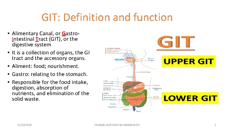 GIT: Definition and function • Alimentary Canal, or Gastro. Intestinal Tract (GIT), or the