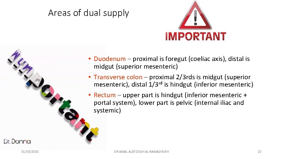 Areas of dual supply • Duodenum – proximal is foregut (coeliac axis), distal is