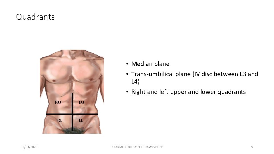 Quadrants • Median plane • Trans-umbilical plane (IV disc between L 3 and L