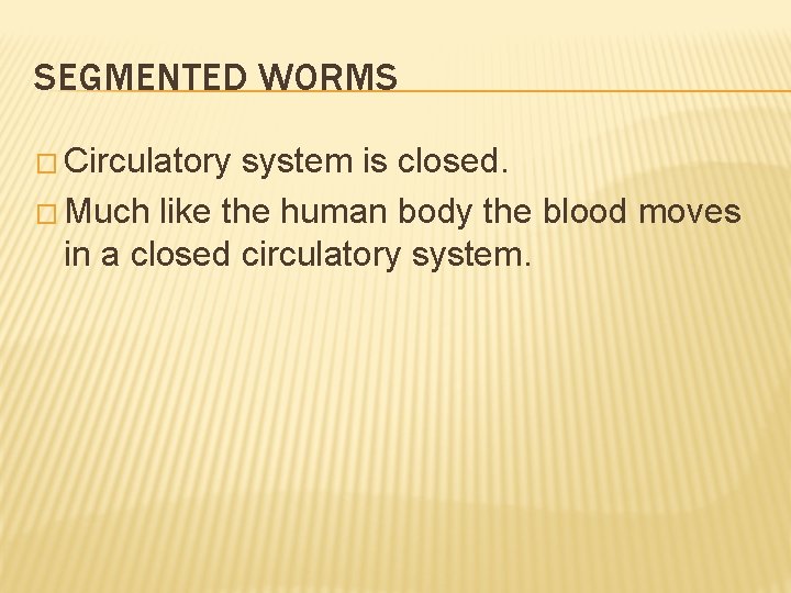 SEGMENTED WORMS � Circulatory system is closed. � Much like the human body the