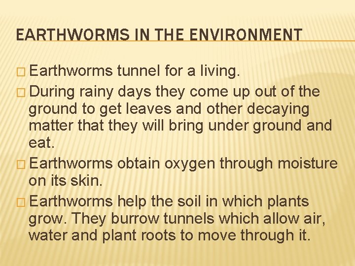 EARTHWORMS IN THE ENVIRONMENT � Earthworms tunnel for a living. � During rainy days