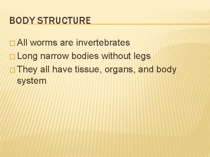 BODY STRUCTURE � All worms are invertebrates � Long narrow bodies without legs � BODY STRUCTURE � All worms are invertebrates � Long narrow bodies without legs �