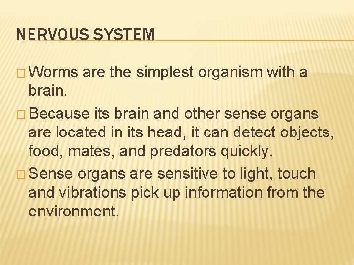 NERVOUS SYSTEM � Worms are the simplest organism with a brain. � Because its NERVOUS SYSTEM � Worms are the simplest organism with a brain. � Because its