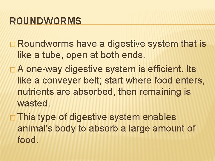 ROUNDWORMS � Roundworms have a digestive system that is like a tube, open at