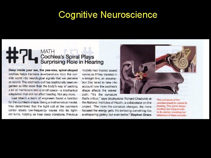 Cognitive Neuroscience 