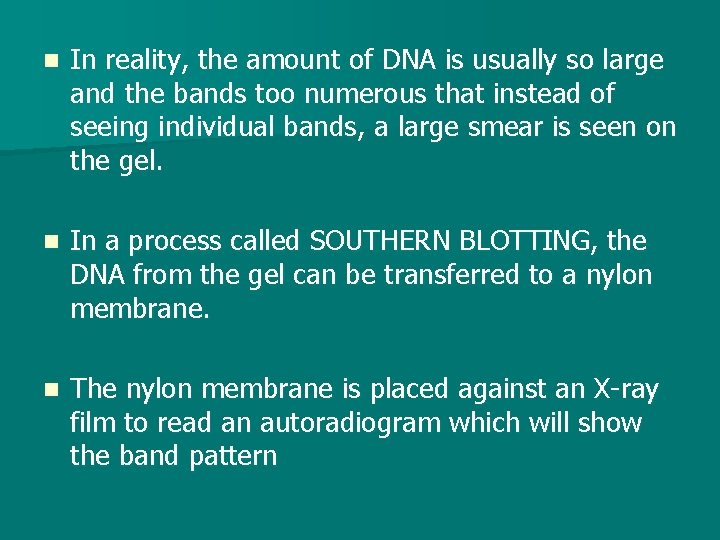 n In reality, the amount of DNA is usually so large and the bands