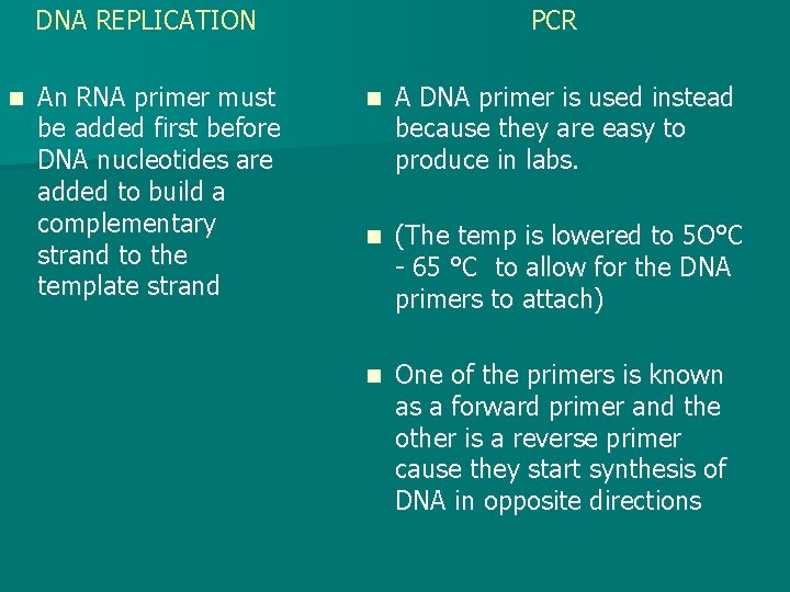DNA REPLICATION n An RNA primer must be added first before DNA nucleotides are