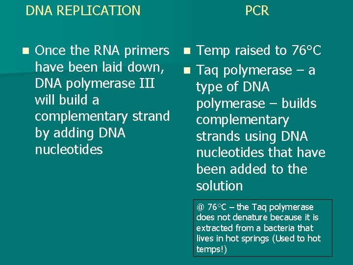 DNA REPLICATION n PCR Once the RNA primers n Temp raised to 76°C have