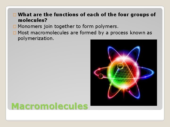 � What are the functions of each of the four groups of molecules? �