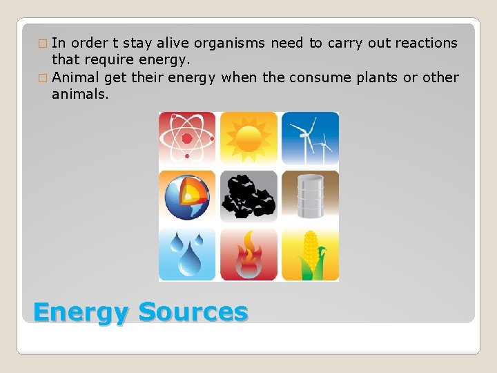 � In order t stay alive organisms need to carry out reactions that require