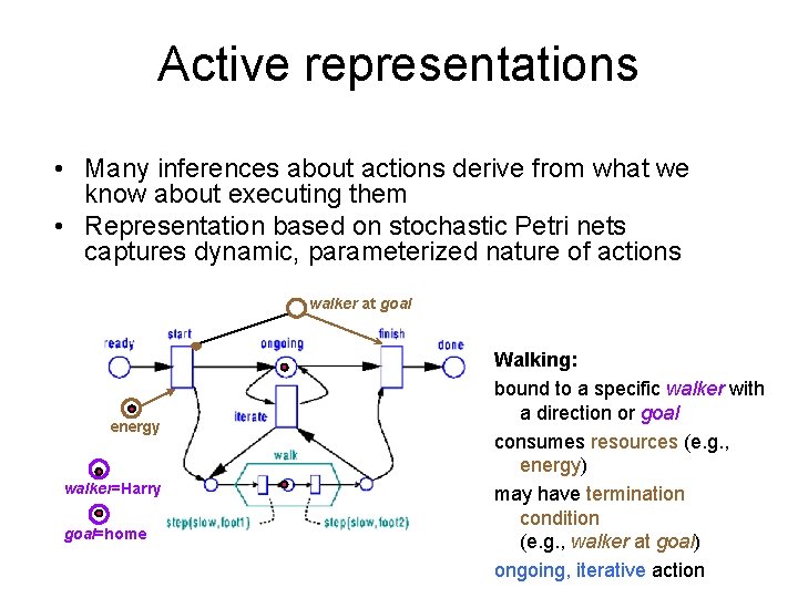 Active representations • Many inferences about actions derive from what we know about executing
