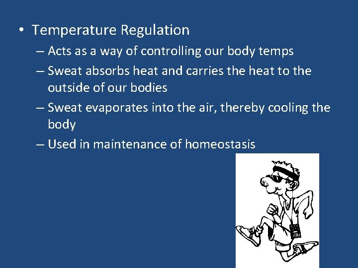  • Temperature Regulation – Acts as a way of controlling our body temps