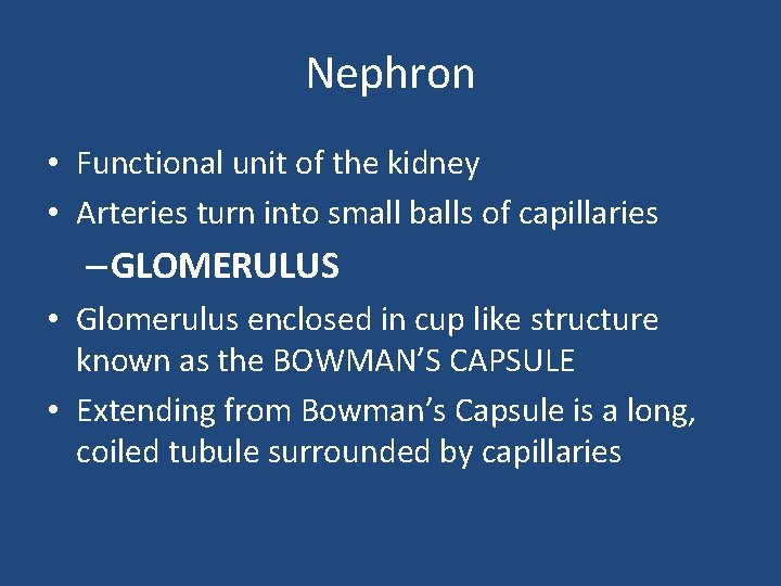 Nephron • Functional unit of the kidney • Arteries turn into small balls of