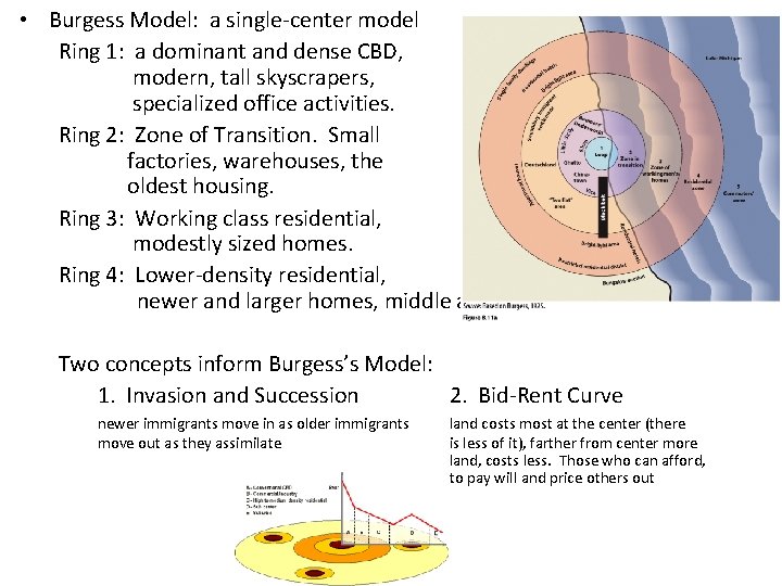  • Burgess Model: a single-center model Ring 1: a dominant and dense CBD,