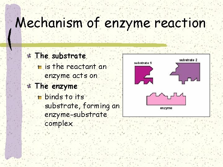 Mechanism of enzyme reaction The substrate is the reactant an enzyme acts on The