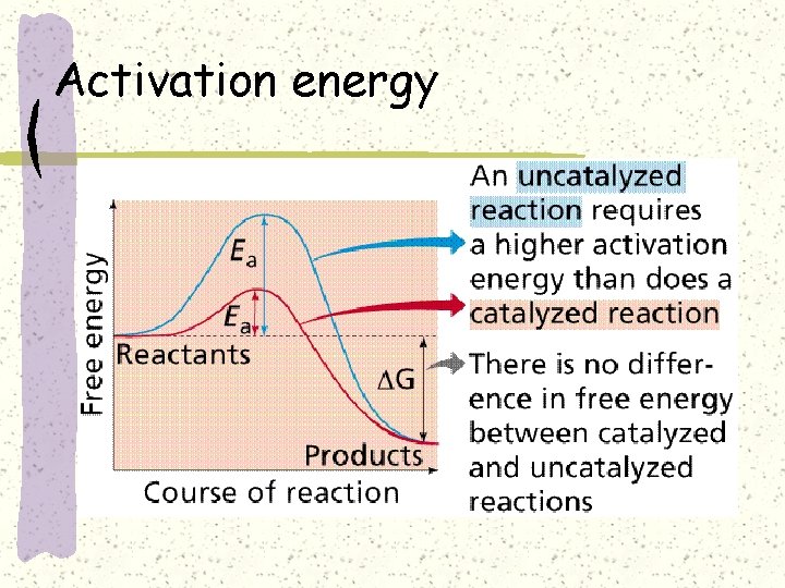 Activation energy 
