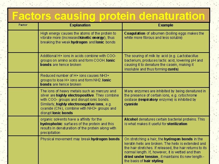 Factors causing protein denaturation Factor Explanation Example Heat or radiation (UV, infra. Red) High